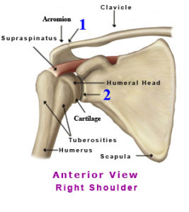 Massage shoulder pain relief in Mesa